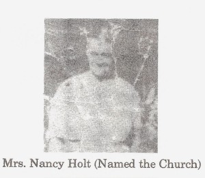 nancy holt 1